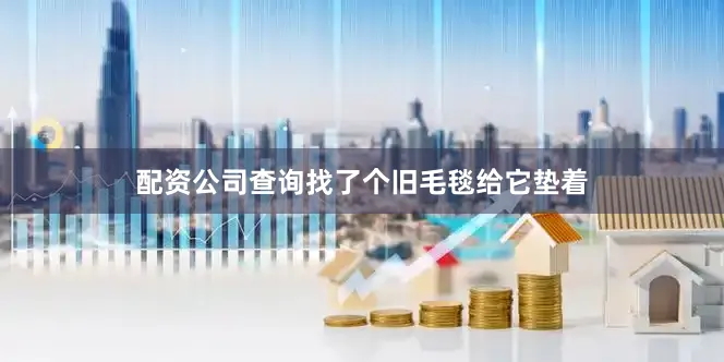 配资公司查询找了个旧毛毯给它垫着