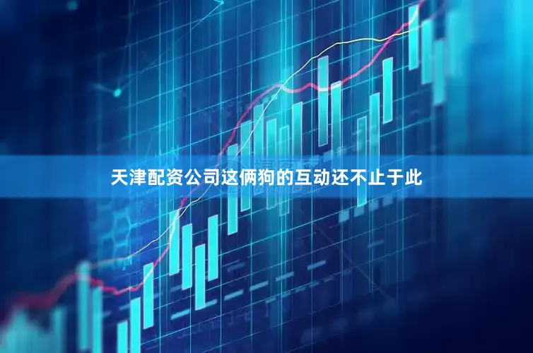 天津配资公司这俩狗的互动还不止于此